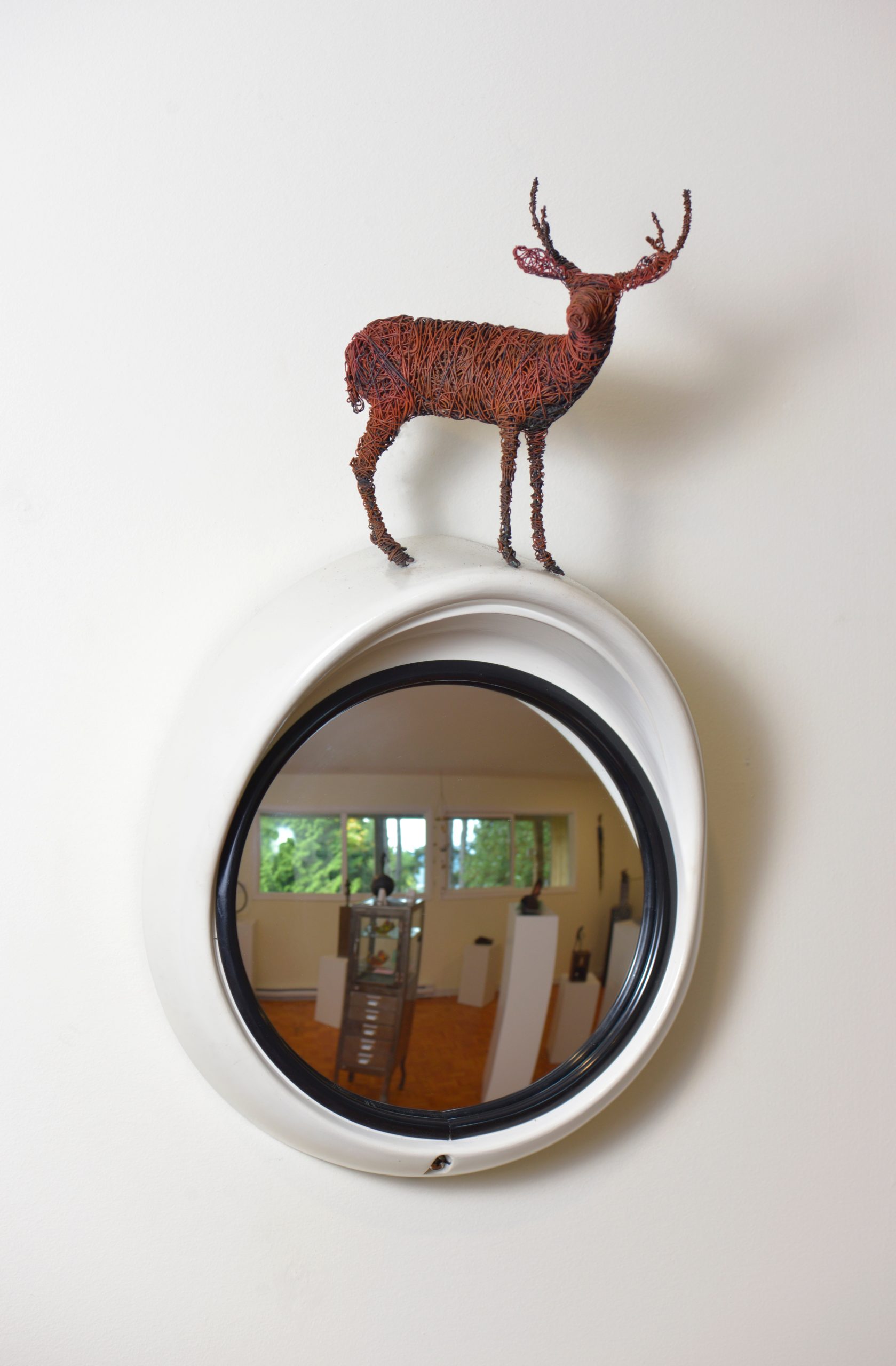 Deer in the headlights