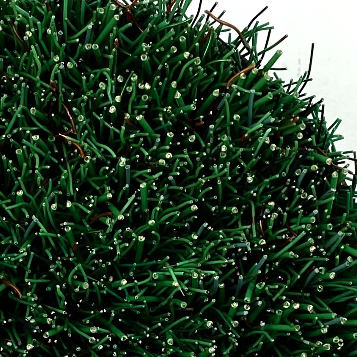 GREEN SPACE